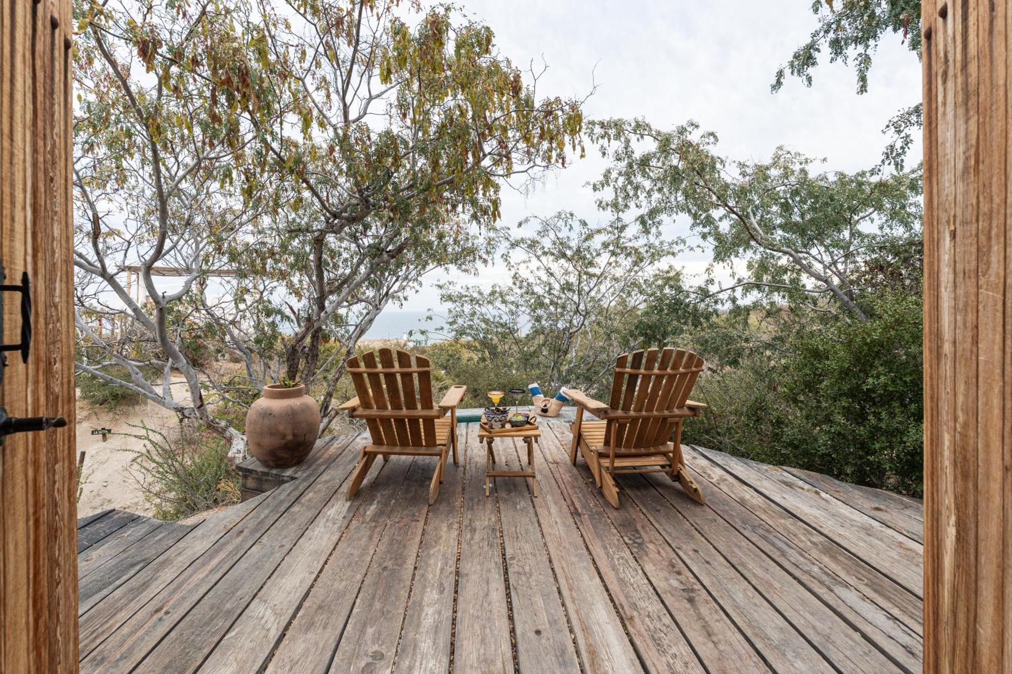 Nest Baja Hotel San José del Cabo Екстериор снимка