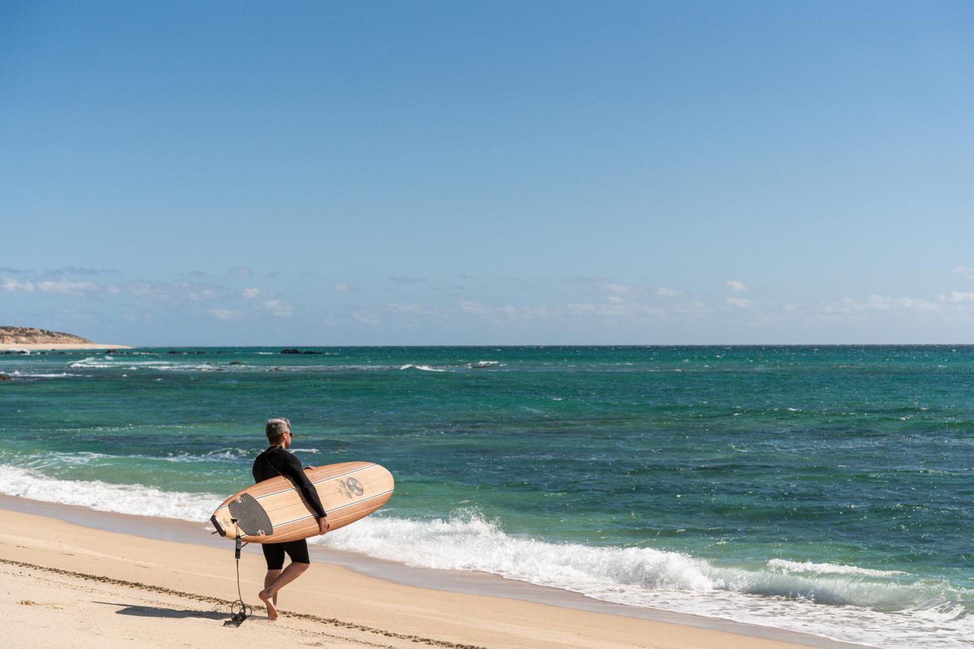 Nest Baja Hotel San José del Cabo Екстериор снимка