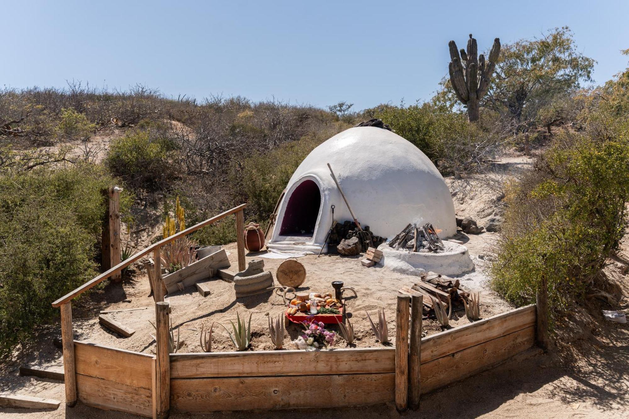 Nest Baja Hotel San José del Cabo Екстериор снимка