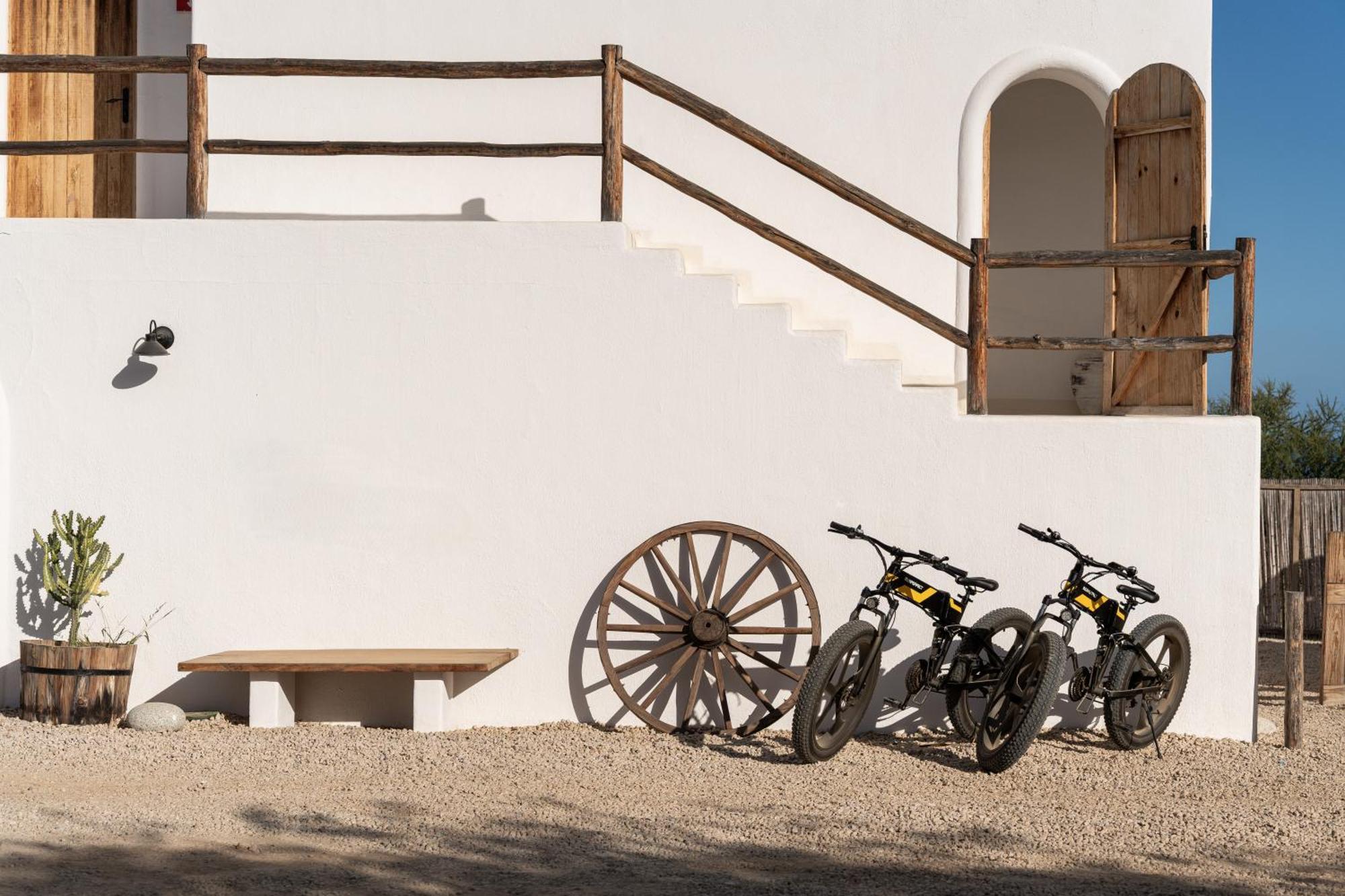 Nest Baja Hotel San José del Cabo Екстериор снимка