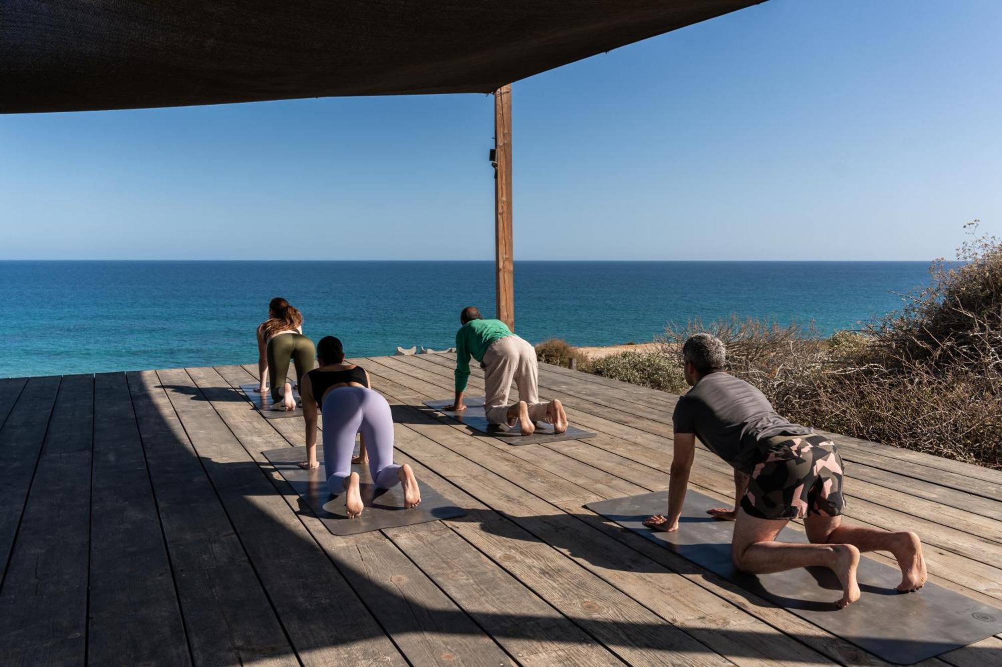 Nest Baja Hotel San José del Cabo Екстериор снимка